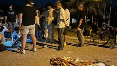 Urla’da 6 köpek zehirlenerek öldürüldü