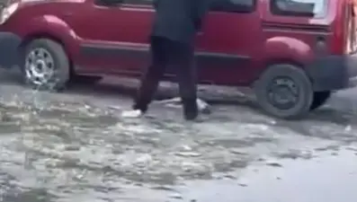 Sokak ortasında köpeğe şiddet