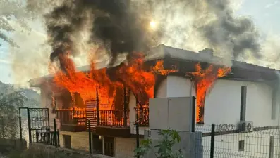 Muğla Gökova'yı birbirine katan saldırgan vuruldu: Evleri ateşe verdi, jandarmaları bıçakladı