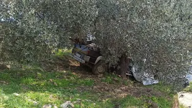 Ağaca çarpan pikabın sürücüsü öldü