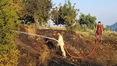 Denizli’de çıkan yangın ormana sıçramadan söndürüldü