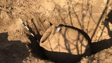 Malatya'da 2 bin yıllık küp bulundu