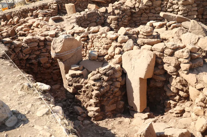 Neolitik döneme ışık tutacak! Taşta 11 bin yıllık eşek çizimi 10