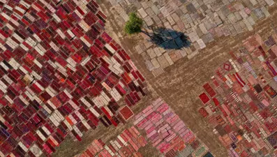 Antalya'nın halı tarlaları görsel bir şölen sunuyor