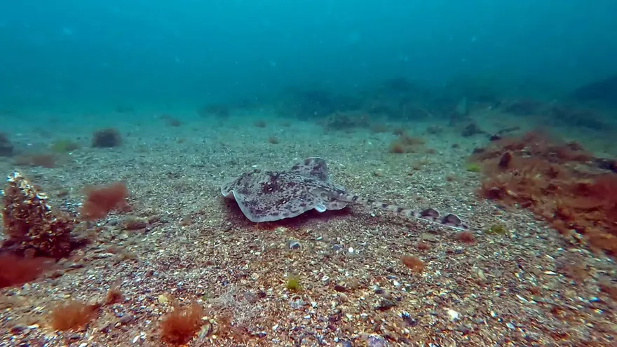 "DENGE BOZULURSA, SİSTEM ÇÖKER" 5