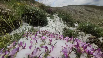 Haziran ayında kar sürprizi: Erek Dağı'nın etekleri beyaza büründü