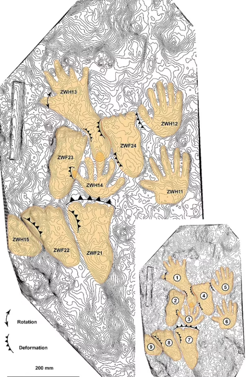 KASITLI BİR ŞEKİLDE YAPILDILAR 4