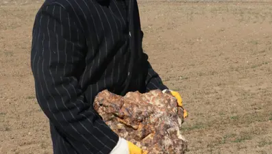 Çorum'dan ABD'ye: Tarlasında göktaşı buldu, 1.3 milyon liraya sattı