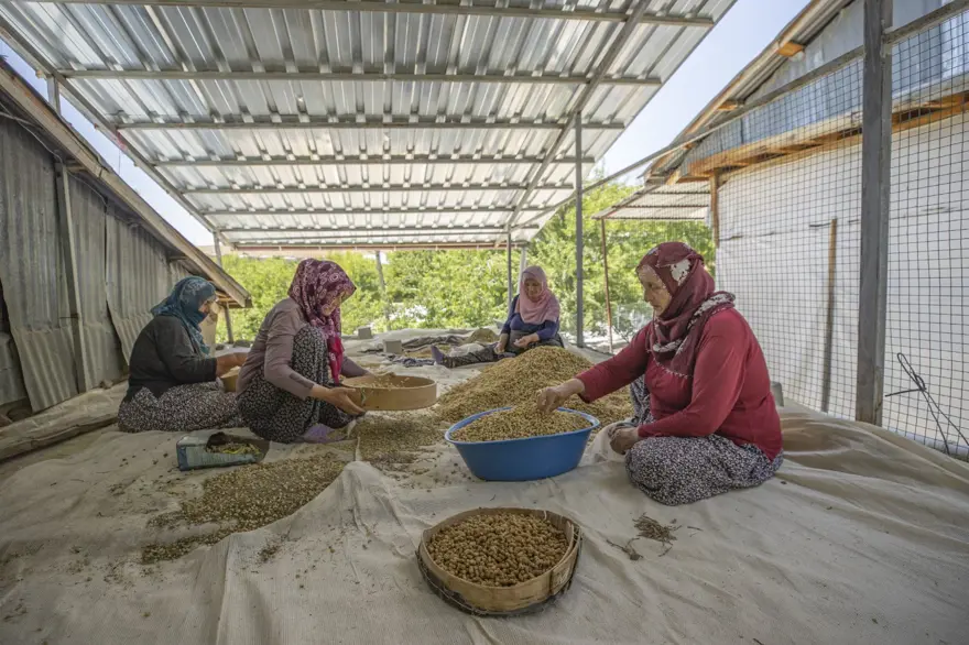 Coğrafi işaretli "Ulukale Dutu" geçim kaynağı oldu! Güneşin karşısında kurutuluyor, elekten geçirilerek hazırlanıyor 11