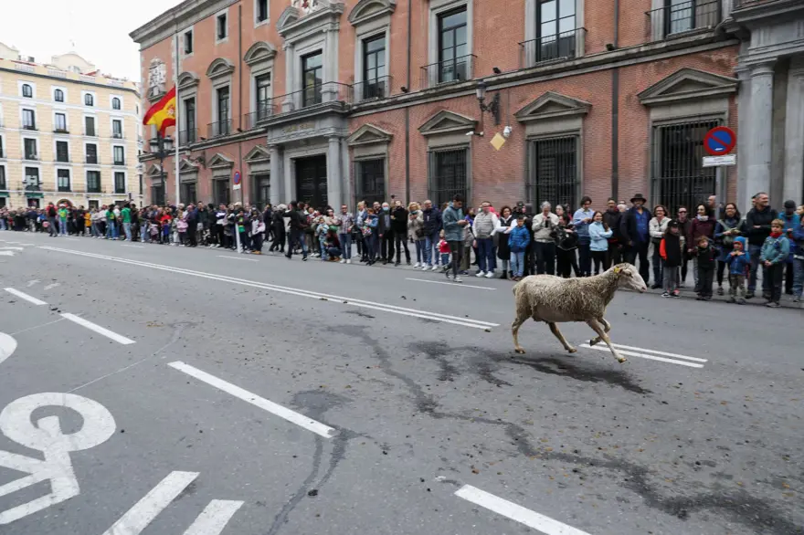 SABAHIN ERKEN SAATLERİNDE TOPLANDILAR 1 SABAHIN ERKEN SAATLERİNDE TOPLANDILAR 1