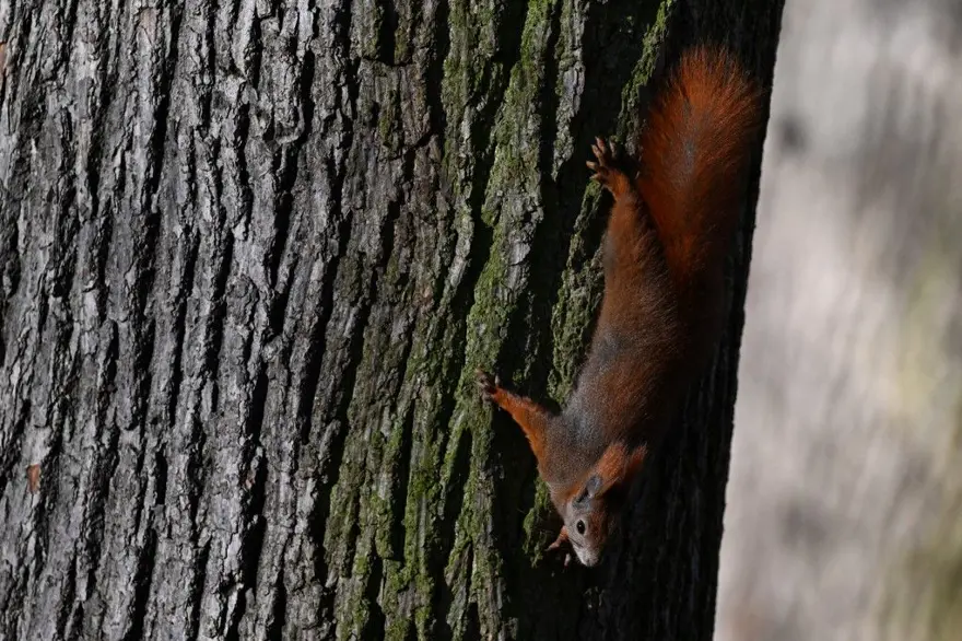 "ÖĞRENİLECEK ÇOK FAZLA ŞEY VAR" 2