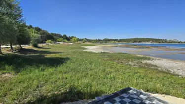 Piknik alanında korkutan görüntü: Sular 50 metre çekildi