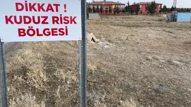Şanlıurfa’da kuduz paniği: 2 mahalle karantinada