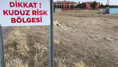 Şanlıurfa’da kuduz paniği: 2 mahalle karantinada