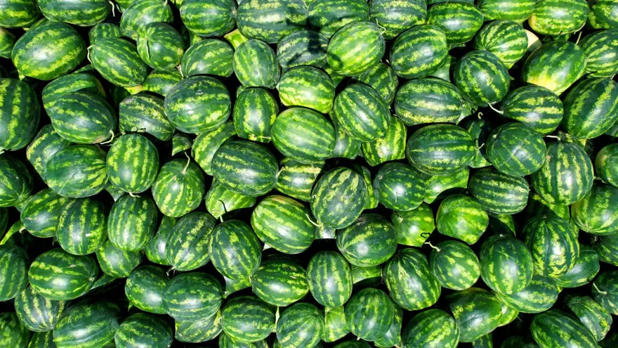 "UMUTLA BEKLİYORUZ 4 "UMUTLA BEKLİYORUZ 4
