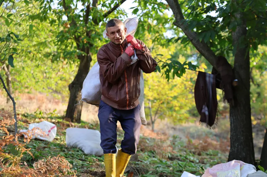60-70 metre yükseklikten toplanan karbonhidrat ve protein deposu: Fiyatı iyi, işçi bulunmuyor 3 60-70 metre yükseklikten toplanan karbonhidrat ve protein deposu: Fiyatı iyi, işçi bulunmuyor 3