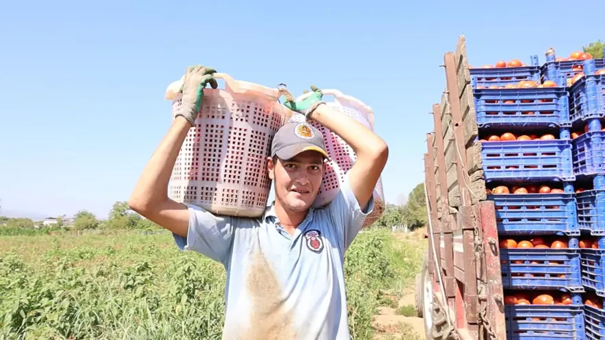 Saati 250 TL'ye çalışıyorlar: Çöl sıcaklarında zorlu ekmek mücadelesi 2