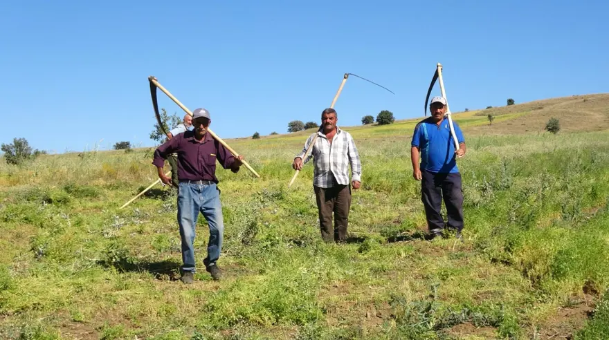 Türkiye'de ilk sırada yer alıyor! Aylık 45 bin liraya çalışacak işçi bulamıyorlar 6