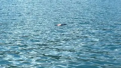 Balıkçılar fark etti: Karadeniz’de dalgıç kıyafetli ceset bulundu