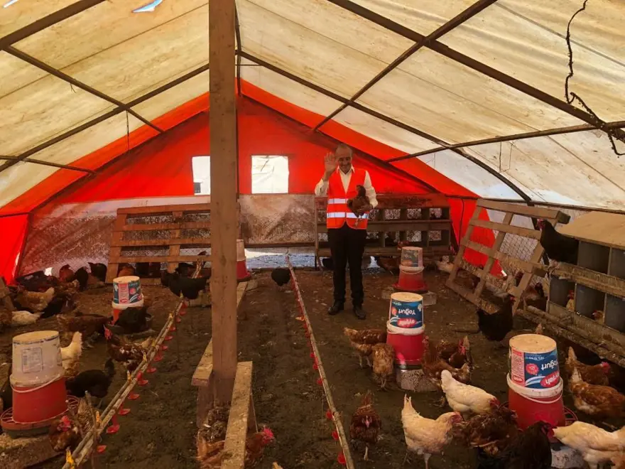 ''TAVUKLAR DA MÜZİKTEN ANLAR'' 4 ''TAVUKLAR DA MÜZİKTEN ANLAR'' 4