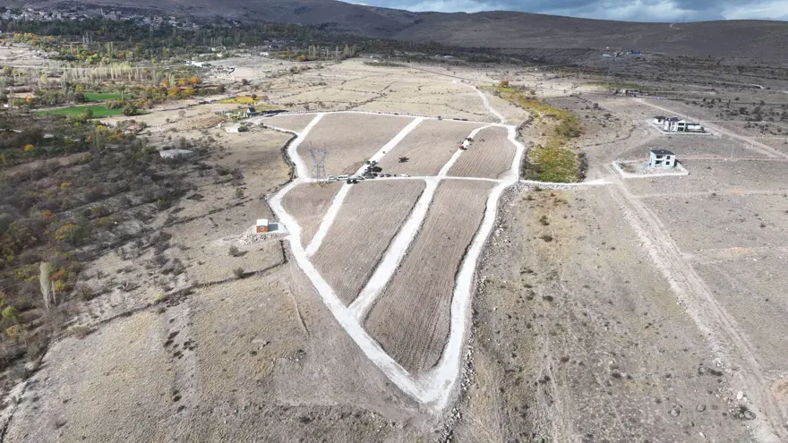 45 dekarlık alana 35 bin adet dikildi: Yeni bir gelir kapısı açacak 4 45 dekarlık alana 35 bin adet dikildi: Yeni bir gelir kapısı açacak 4