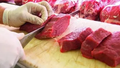 Kasabınızı eldiven takması için uyarın! (Şarbondan korunmada etkili)