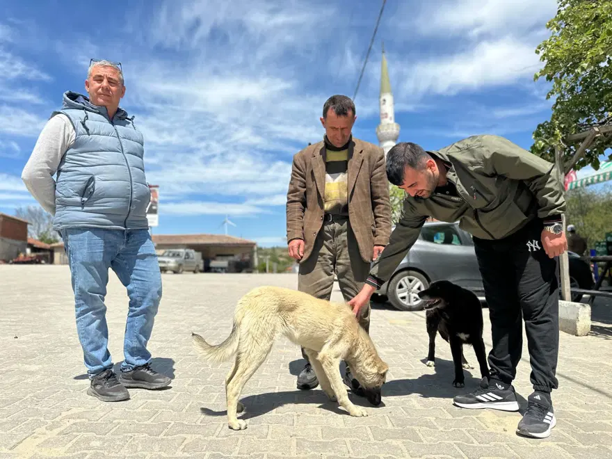 "İÇERİDE KÖPEĞİ DÖVÜYORDU" 5