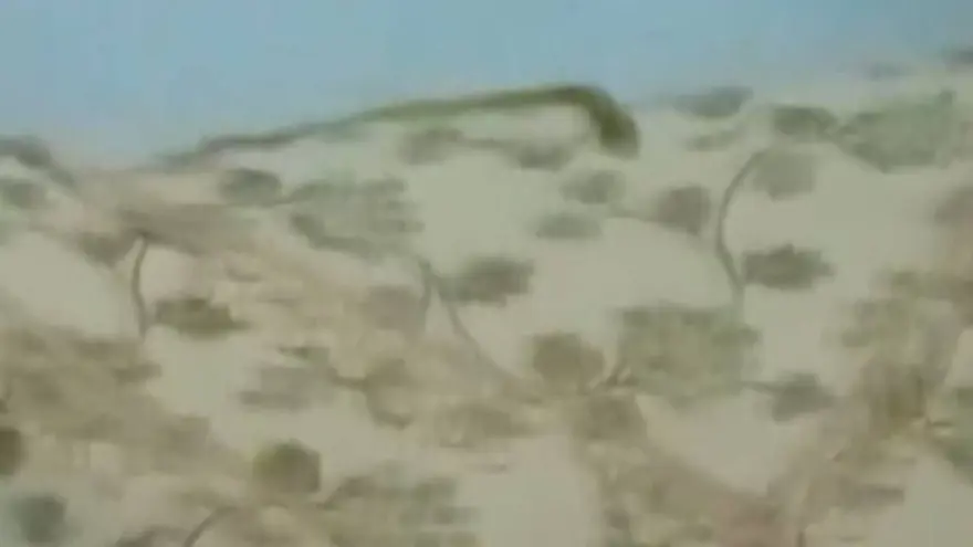 Yılan korkusuyla üç kez düşük yaptı: Hakkari'de kabus ev 1