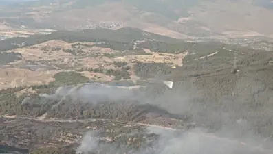 İzmir'deki orman yangını kontrol altına alındı