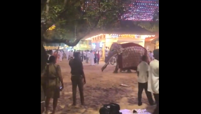 Sri Lanka'da dini tören sırasında fil saldırısına uğrayan 13 kişi yaralandı