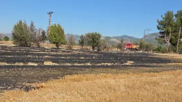 Bucak'ta arazide çıkan yangın itfaiye ekiplerince söndürüldü