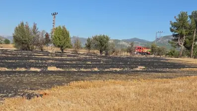 Bucak'ta arazide çıkan yangın itfaiye ekiplerince söndürüldü