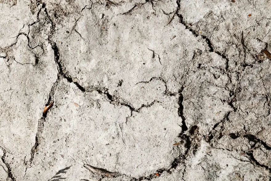 İtalya'da tarihi kuraklık: Tiber nehri kurumaya yüz tuttu 3