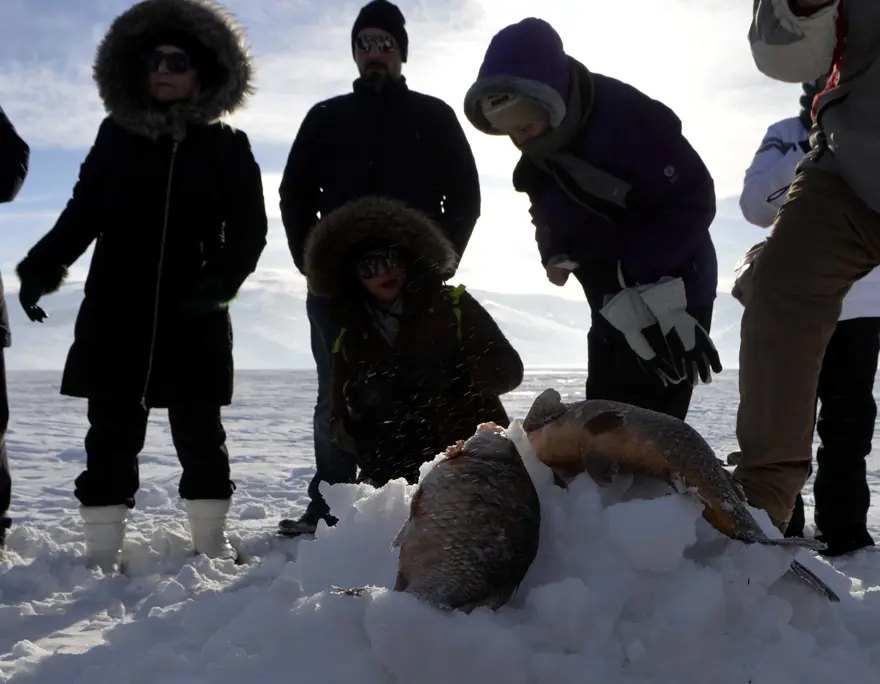 Donan Çıldır Gölü'nde balık tutuyorlar 12