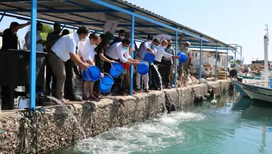 Finike'de 5 bin yavru levrek denize bırakıldı