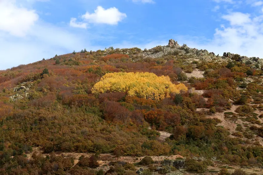 2 bin rakımlı geçitte masalsı görüntüler oluştu 2