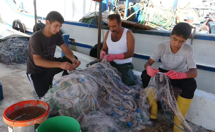 Tezgahta bolluk var: Fiyatlar kasım sonuna kadar uygun 2
