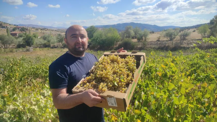 Kazanlar kaynamaya başladı: 800 liradan satılıyor 2