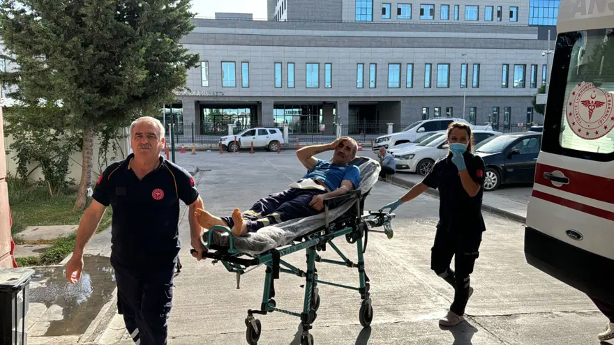 Bakan Koca açıkladı: Bayramın ilk gününde "acemi kasap" bilançosu 7