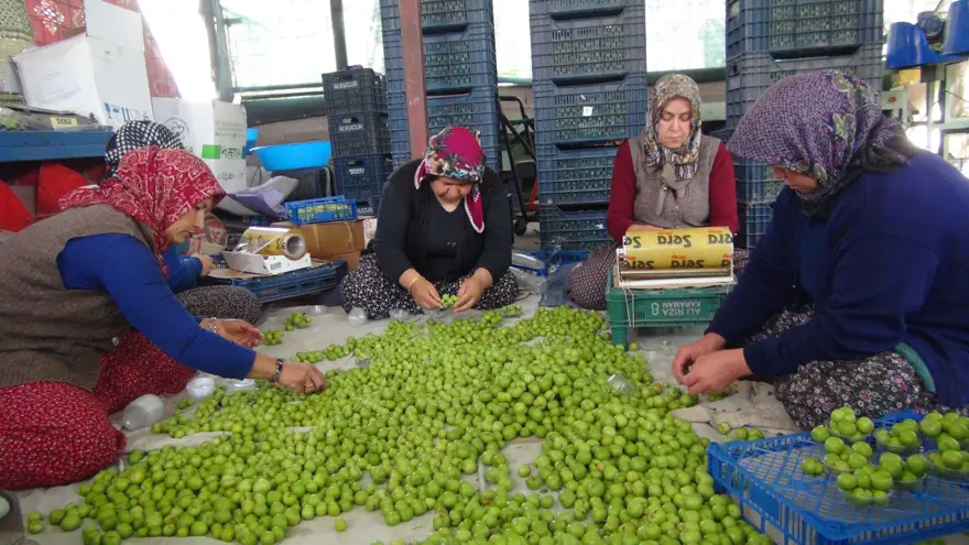 BOYLARINA GÖRE PAKETLERE AYRILIYOR 1