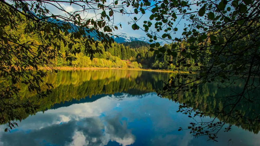 'Sakin Şehir' Şavşat'ta sonbahar güzelliği 7