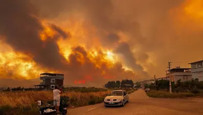 NTV yangın bölgesinde: Seferihisar'da son durum