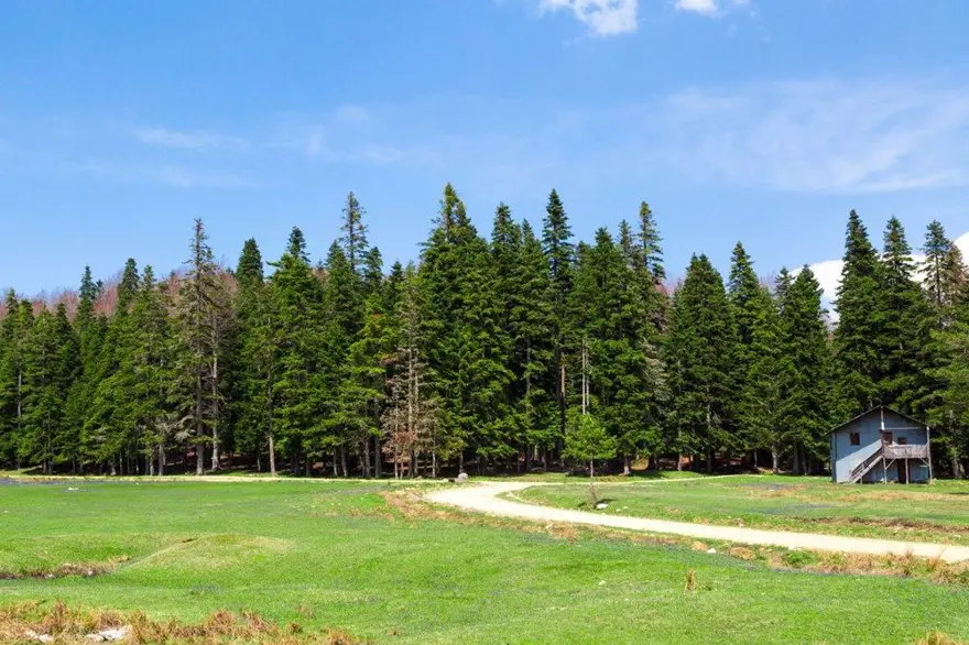 PÜRENLİ YAYLASI / DÜZCE 2