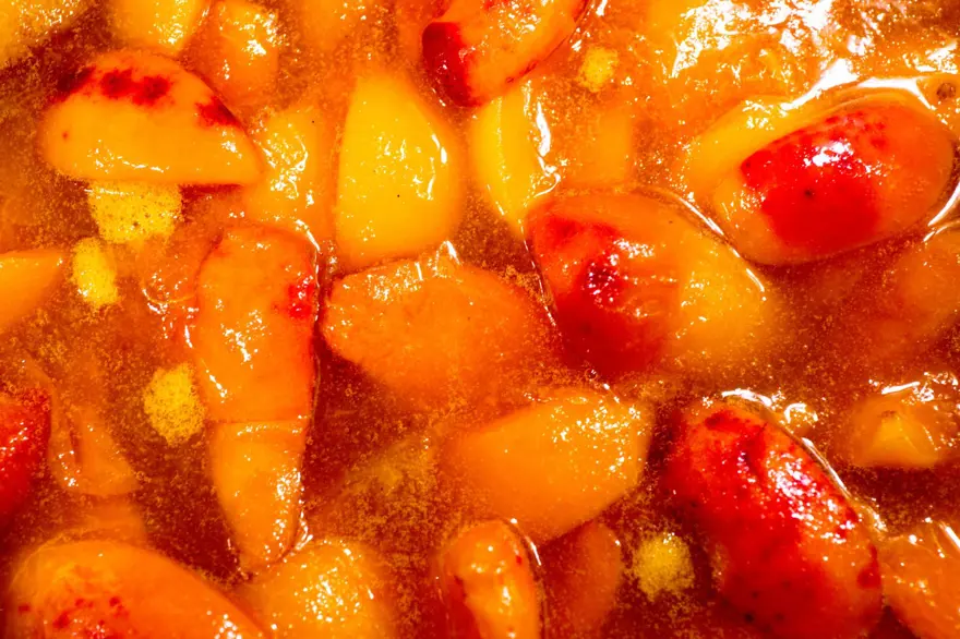 Dünyanın kayısı başkenti olarak biliniyor! Yeni dönem hasadı başladı 8