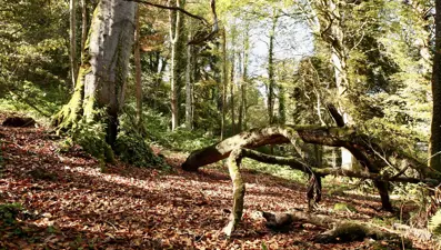 Doğal güzellikleriyle ünlü: Doyumsuz manzarasıyla dikkat çekti
