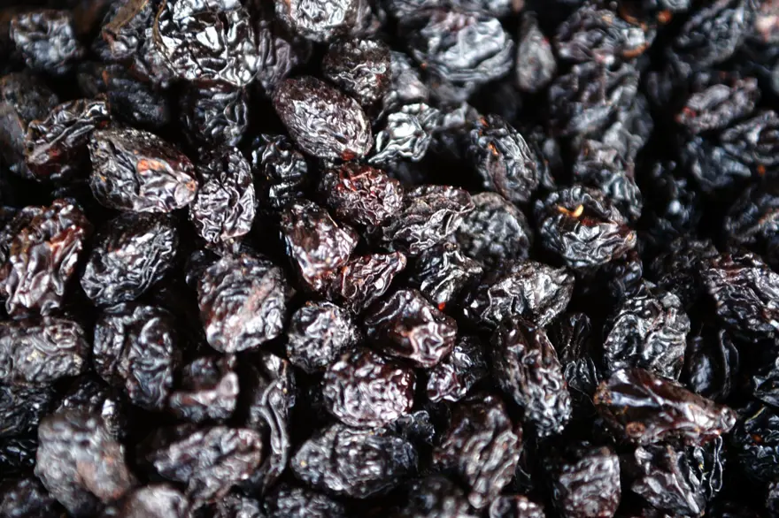 KURU ERİK 2 KURU ERİK 2