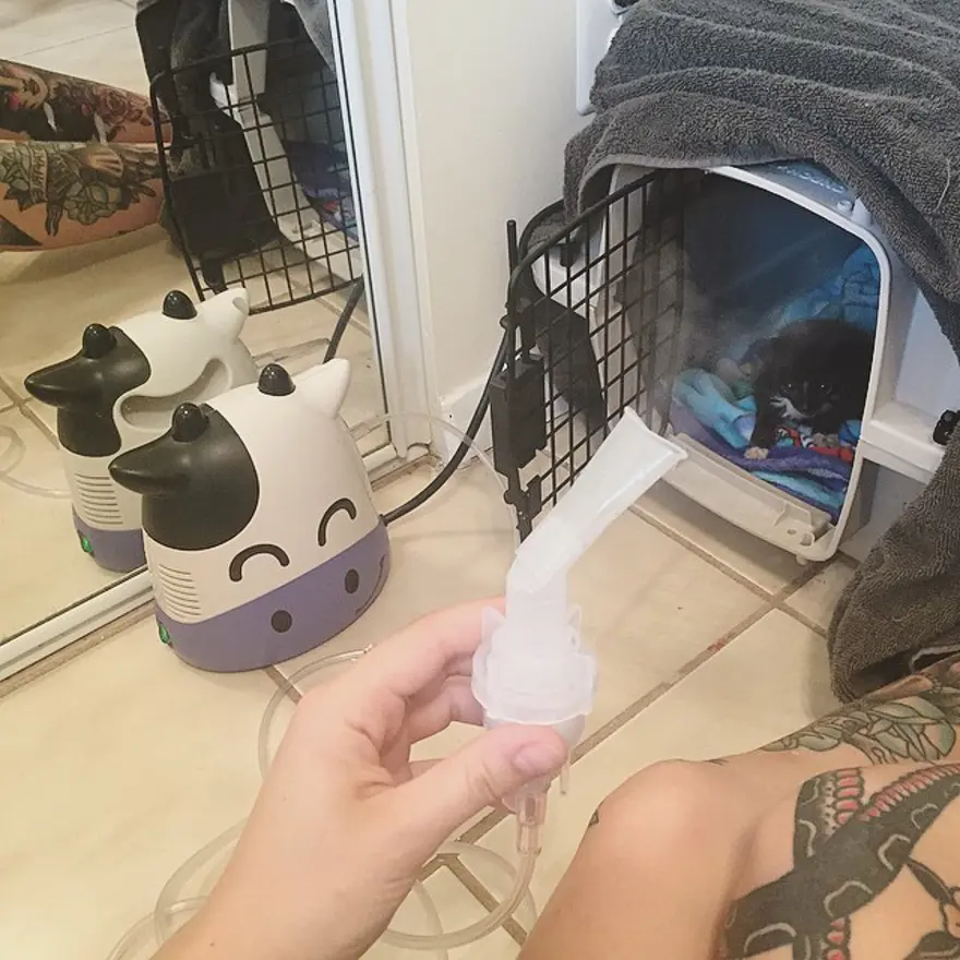 Hayatını kedileri kurtarmaya adadı 212