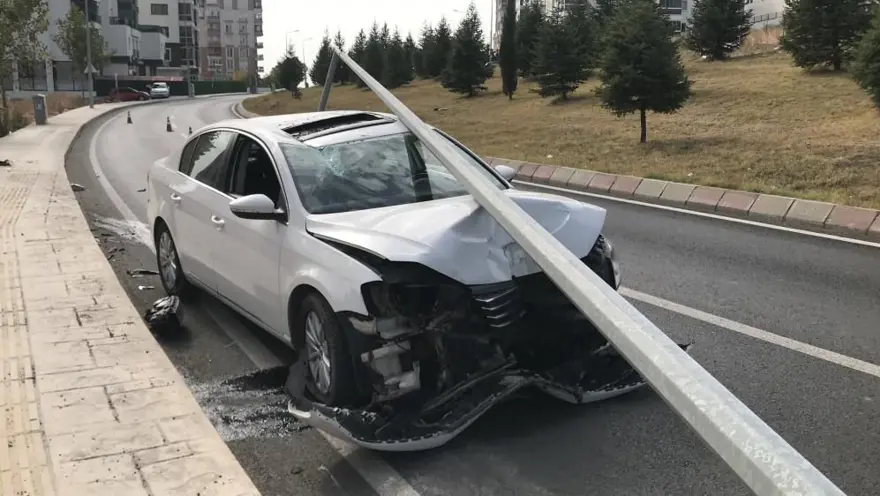 Otomobile giren sinek kazaya neden oldu 3