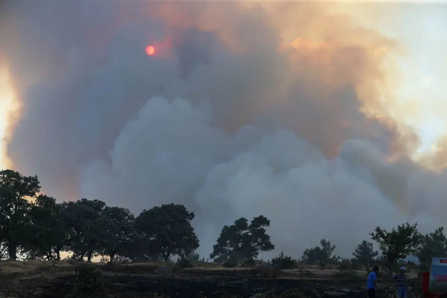 Çanakkale, Uşak, Antalya ve İzmir'de  orman yangını 