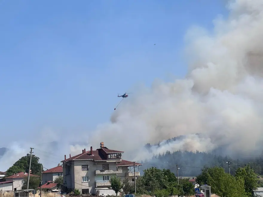 BURSA'DA ANIZ YANGINI ORMANA SIÇRADI 1
